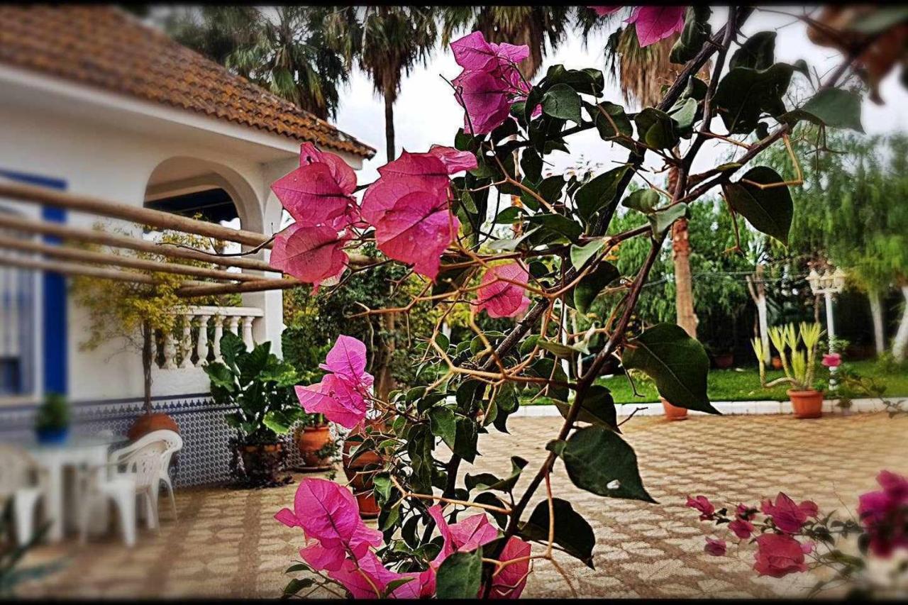 Casa Rural Finca Real De Niebla Buitenkant foto